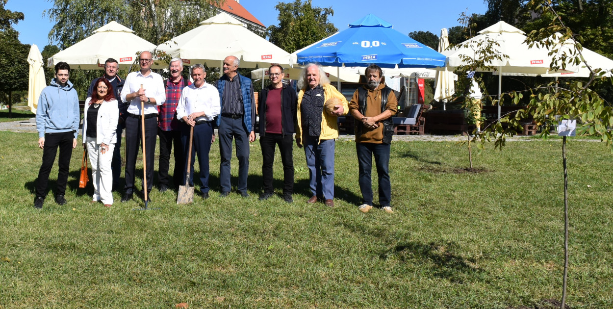 Aleja Krzemienia Pasiastego i jej bohaterowie   