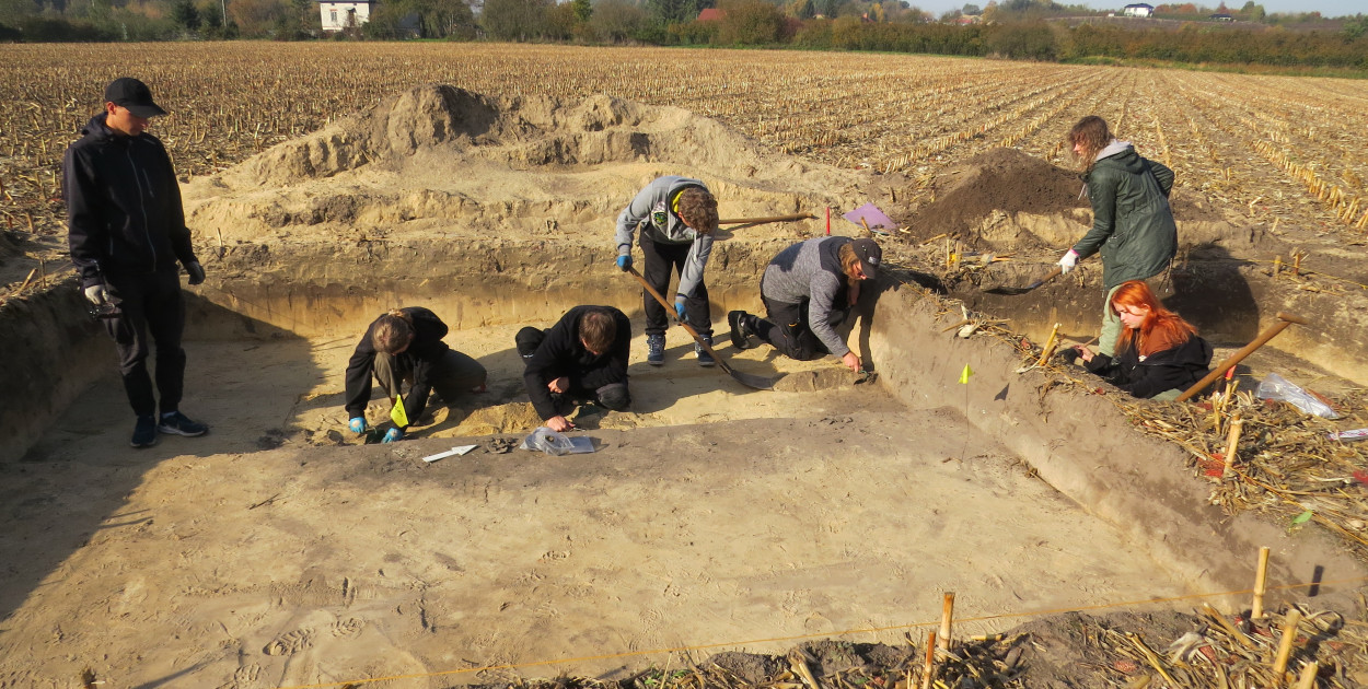 Studenci z UMSC w trakcie badań archeologicznych w Zawichoście-Trójcy. 