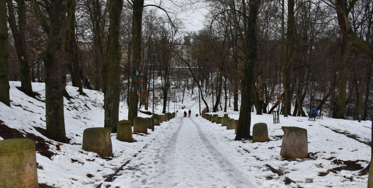 Park Piszczele w Sandomierzu  