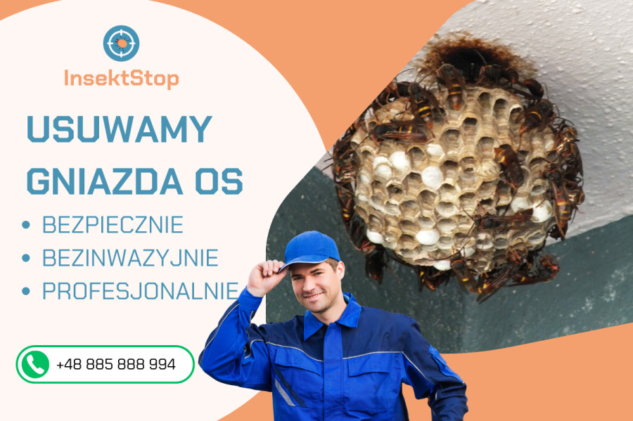 Usuwanie gniazd os i szerokich insektstop.pl