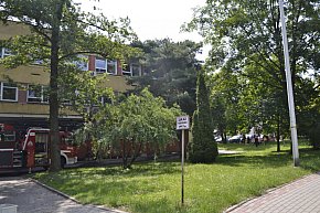 Usuwanie skutków burzy w Tarnobrzegu-9610