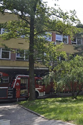 Usuwanie skutków burzy w Tarnobrzegu-9610