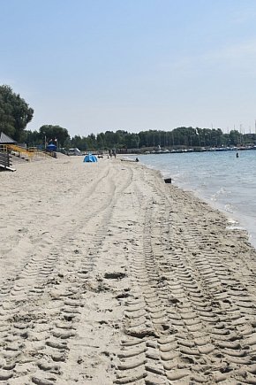 Nowy piasek nad Jeziorem Tarnobrzeskim-9718
