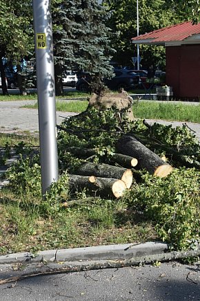 Skutki burzy w Tarnobrzegu-9776