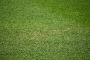 Żółte plamy na stadionie Siarki-9928