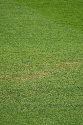Żółte plamy na stadionie Siarki-9928