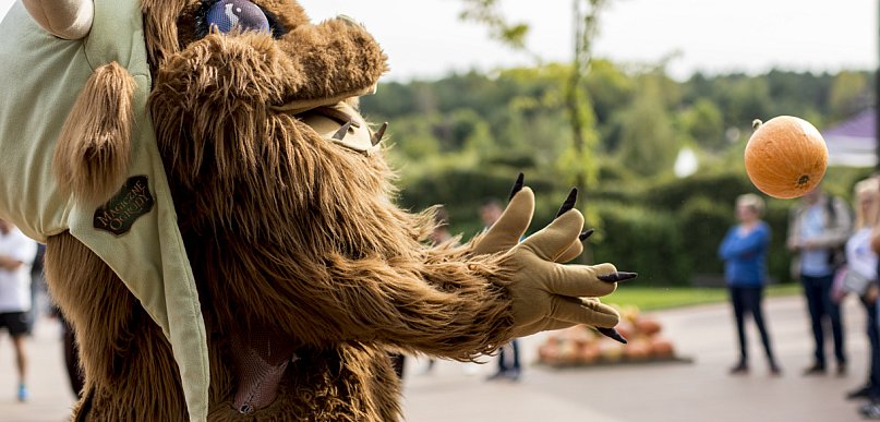 Magiczne Ogrody: Dyniobranie z Mordolem Witkiem