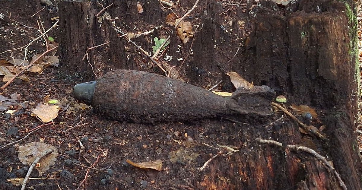 Będąc na grzybach pod Tarnobrzegiem znalazł pocisk moździerzowy