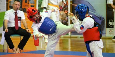 Blisko 300 karateków z całej Polski rywalizowało w Tarnobrzegu [ZDJĘCIA]-210079