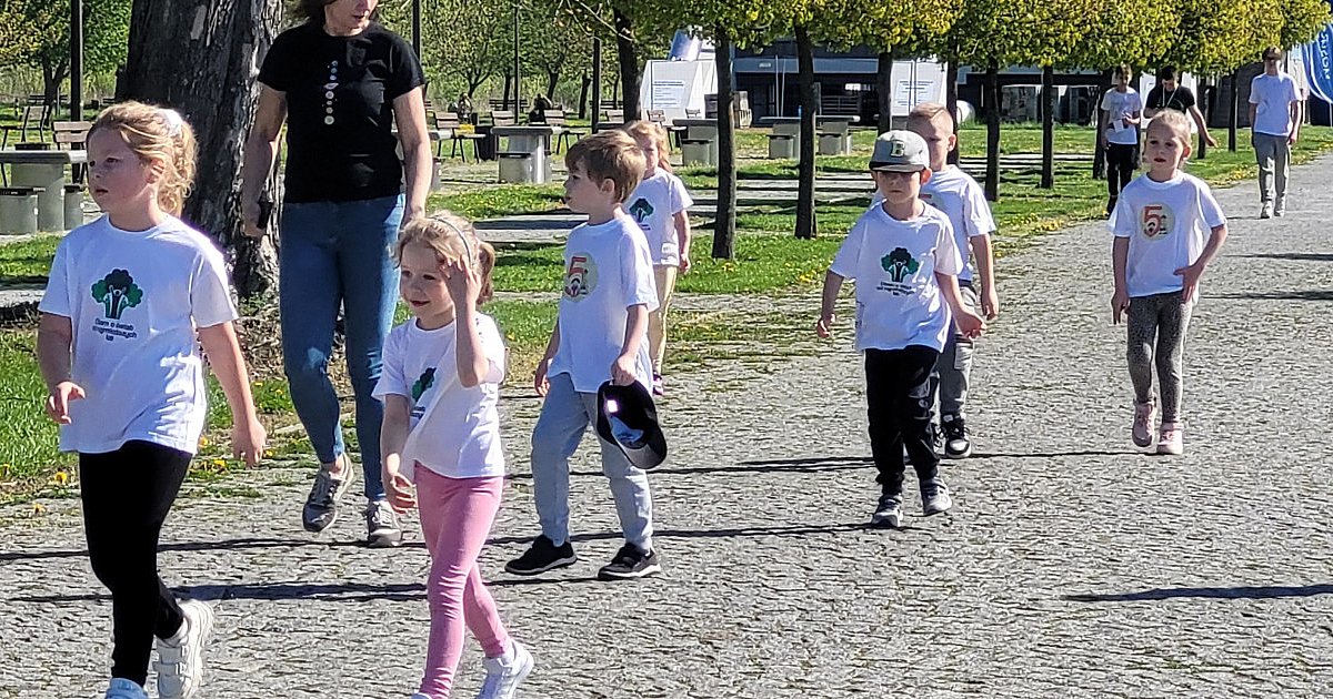 Pokonywali kilometry dobra. Ponad tysiąc uczestników wystartowało w Sandomierzu w biegu dla Aleksandry [FOTO]