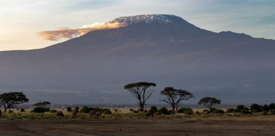 Wyprawa na Kilimandżaro: przewodnik po trasach-210854