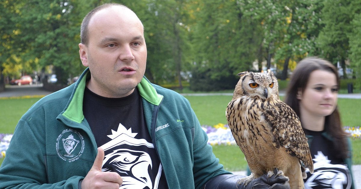 NOC SÓW 2024 w tarnobrzeskim Centrum Natura 2000 z wyjątkowymi atrakcjami - będzie pokaz z udziałem puchacza i płomykówki
