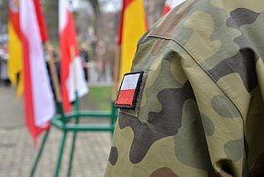 Wojsko zaprasza Polaków. Zacznie się w maju, skończy się w lipcu-211305