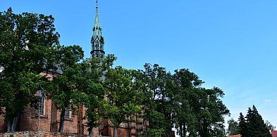 Dach sandomierskiej katedry wymaga wzmocnienia  -211727