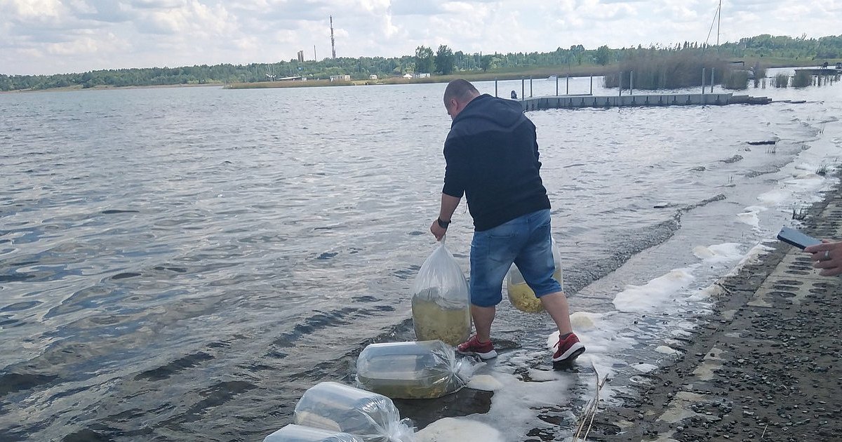 Kolejne zarybianie Jeziora Tarnobrzeskiego. Do akwenu trafił sandacz [FOTO]