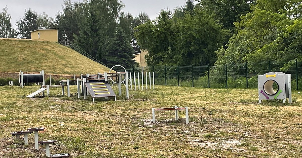 Sandomierski wybieg dla psów już gotowy. Tutaj zwierzęta będą mogły wyszaleć się do woli [FOTO]