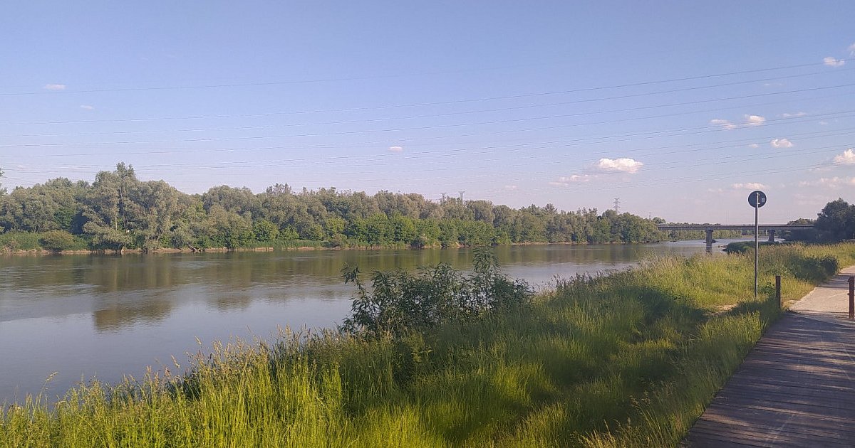 Kobieta zauważyła dryfujące zwłoki w rzece San w Stalowej Woli. Na miejsce wezwano służby