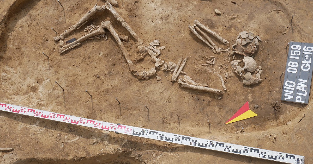 Wyjątkowy grób został odkryty w Wilczycach. Trwają tam badania archeologiczne  [ZDJĘCIA]