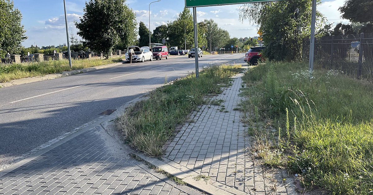 Trawa niemal po pas, chodniki mało widoczne. Miasto chce wziąć na siebie letnie utrzymanie ul. Lubelskiej w Sandomierzu