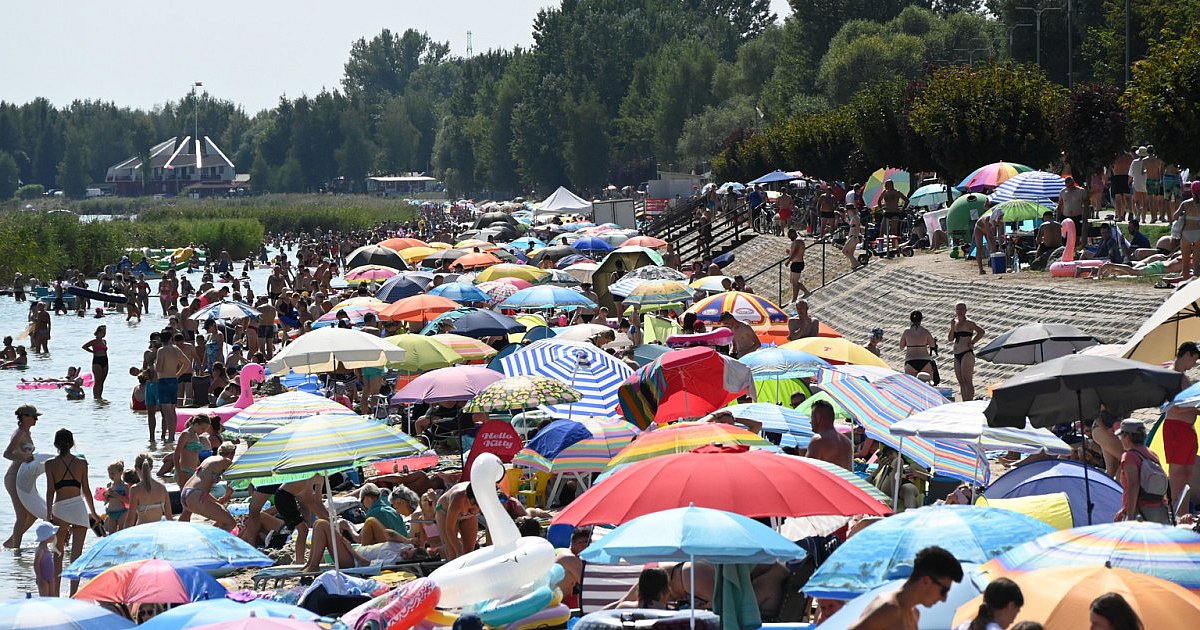 Rekord frekwencji nad Jeziorem Tarnobrzeskim. Las parasoli na plaży i korki na Wisłostradzie [ZDJĘCIA] [WIDEO]