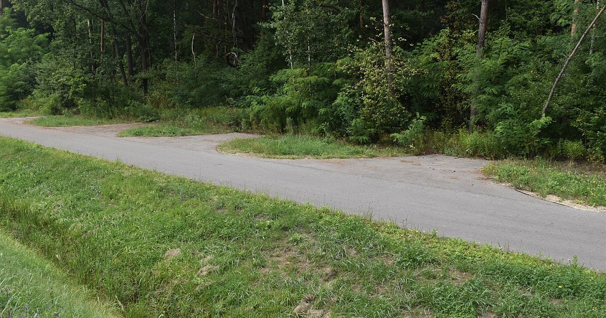 Kilkanaście zjazdów obok siebie z drogi awaryjnej przy obwodnicy Tarnobrzega. Po co? [ZDJĘCIA]