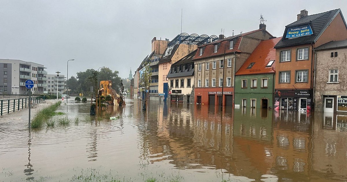 Tarnobrzeg organizuje pomoc dla powodzian z Głuchołazów i Jeleniej Góry - znamy szczegóły i miejsca prowadzenia zbiórki darów