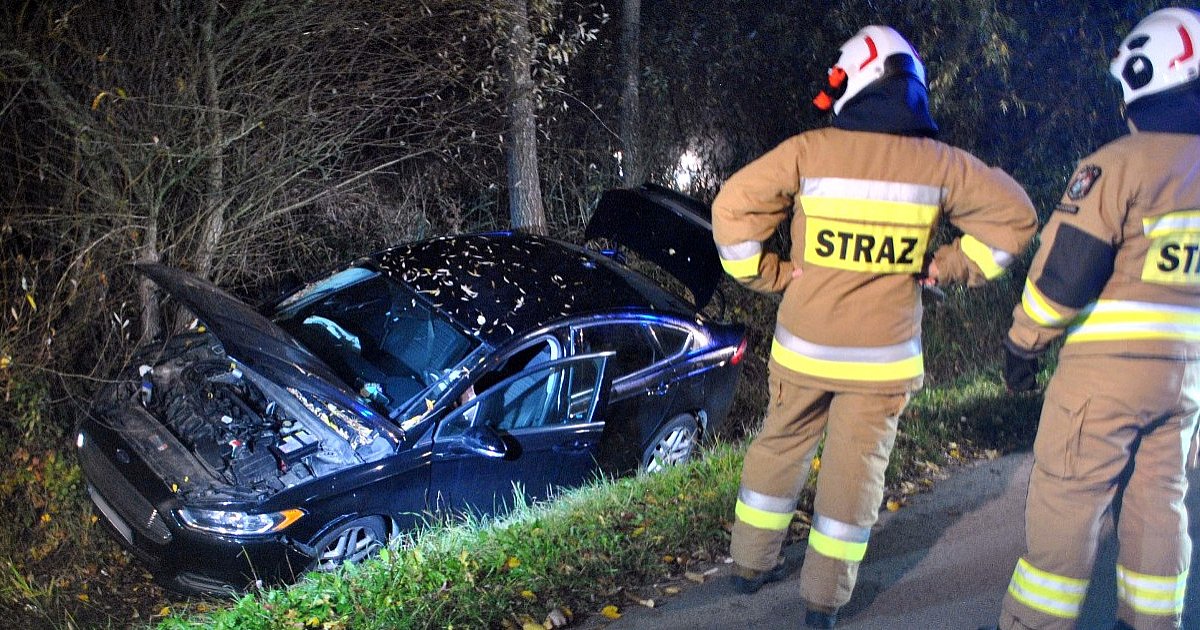Tarnobrzeg. Zwierzę wybiegło na drogę. Auto w rowie... [ZDJĘCIA]