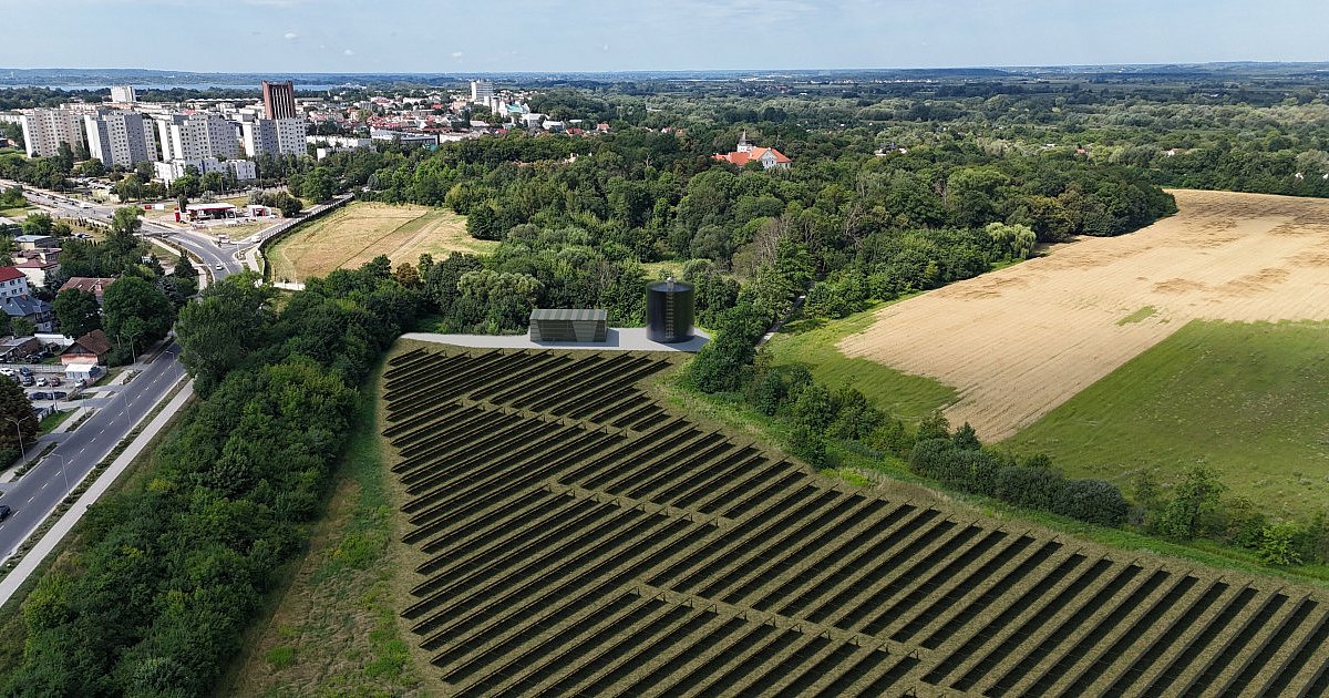 Spółka ECO wystąpiła o dotację na budowę farmy solarnej w Tarnobrzegu. W grę wchodzi kilkadziesiąt milionów złotych