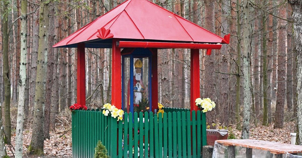 Święty Mikołaj czeka w puszczy [Czytaj w gazecie]