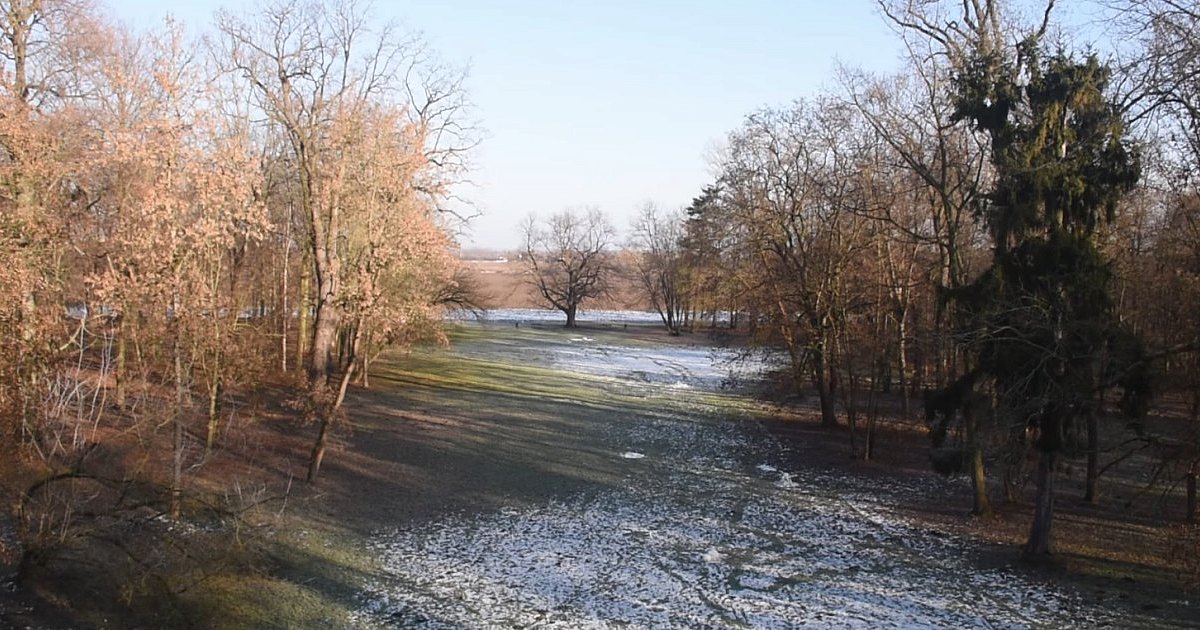 Dzikowski park w nowej odsłonie. Czas na projekt