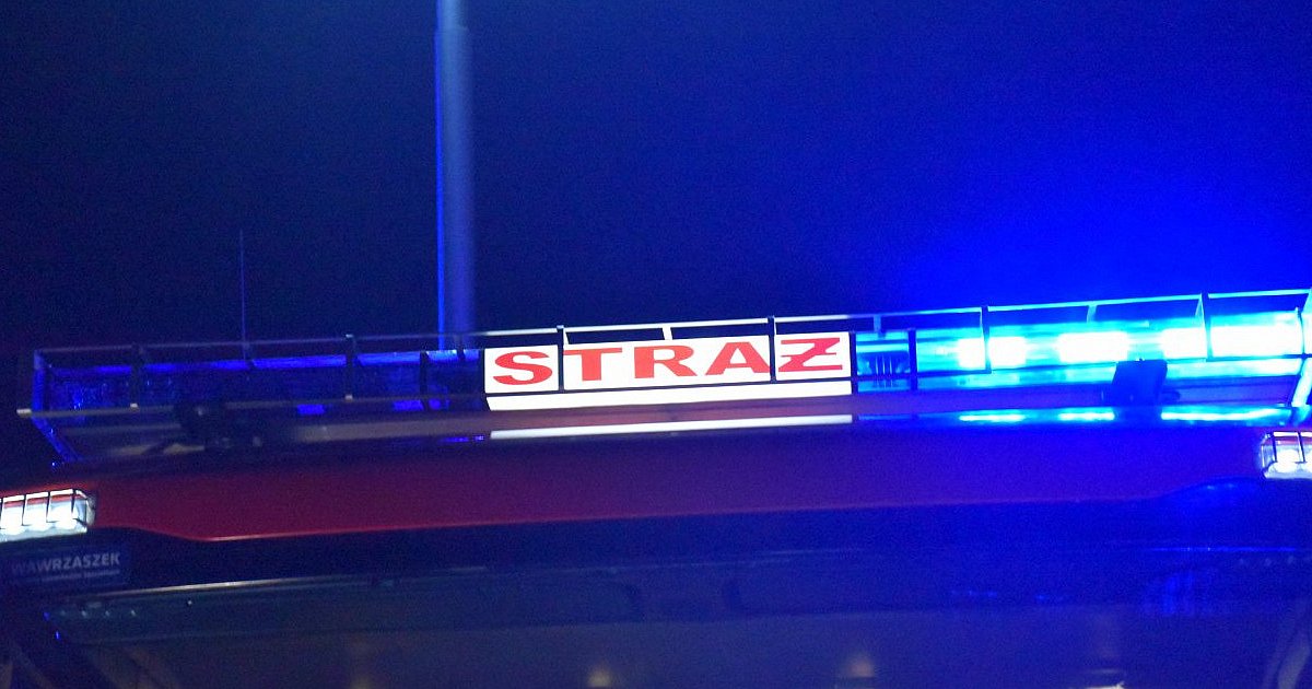 Zatrucie czadem w Nowej Dębie, 4 osoby w szpitalu