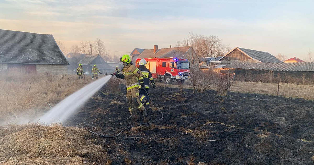 Blisko 30 wyjazdów strażaków do pożarów traw w powiecie tarnobrzeskim