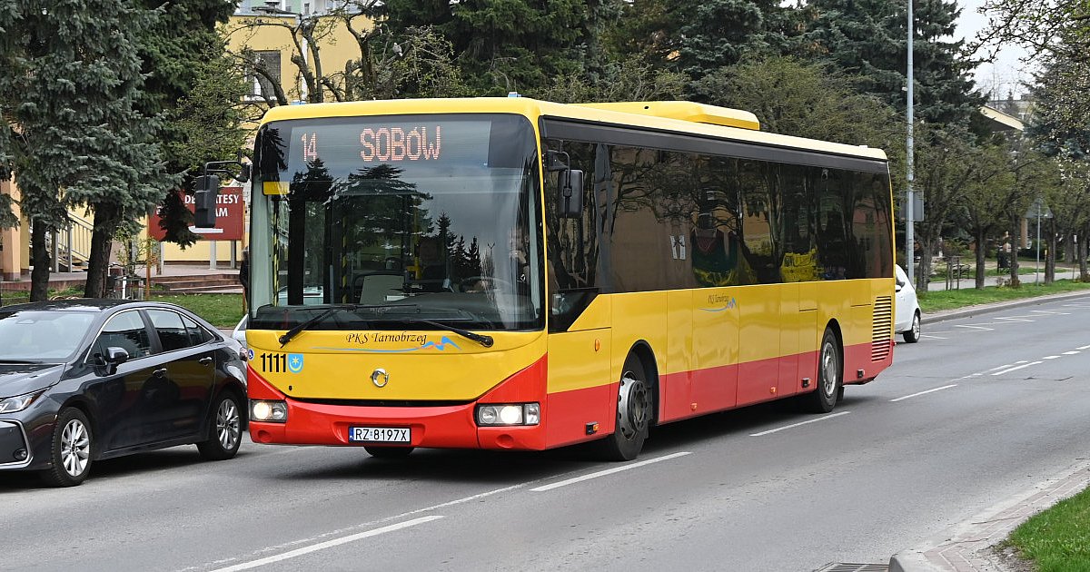 Darmowa komunikacja miejska na Śniadanie Wielkanocne w Tarnobrzegu. Sprawdź rozkład jazdy