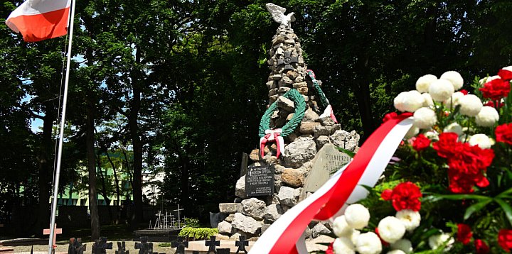 Narodowy Dzień Zwycięstwa w Sandomierzu -221970