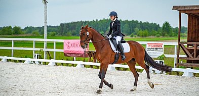 Święto koni i jeźdźców w Wydrzy w powiecie tarnobrzeskim [ZDJĘCIA]-222046