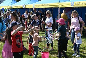 Rodzinny piknik w Tarnobrzegu. To promocja rodzicielstwa zastępczego-222300