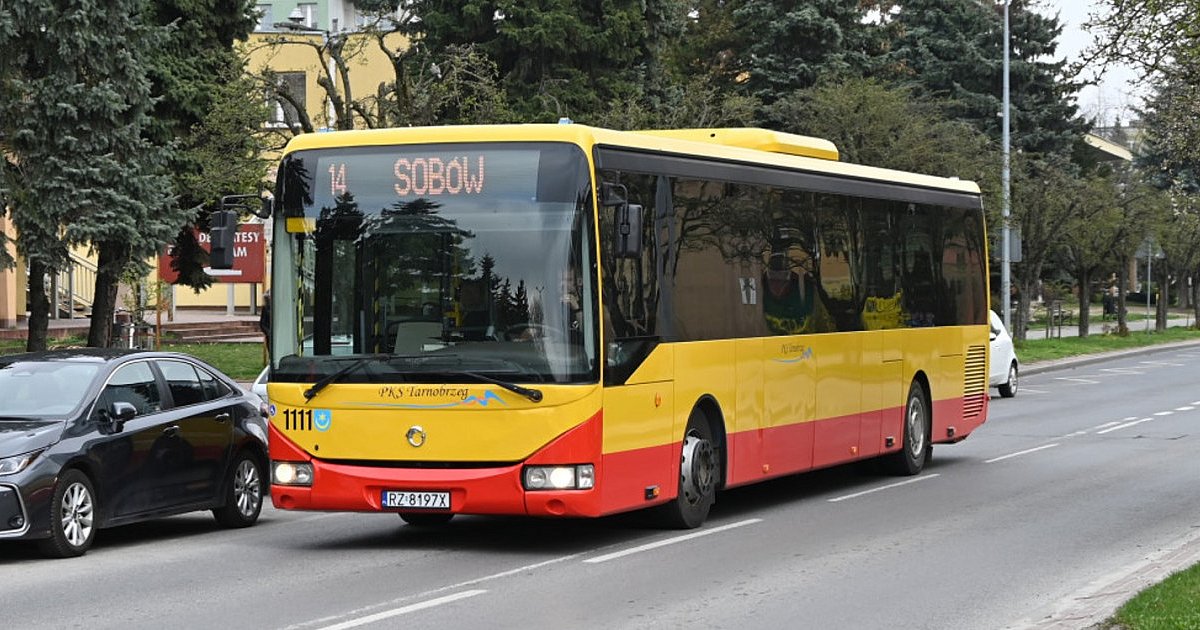 Darmowa komunikacja miejska na Dni Tarnobrzega 2025. Sprawdź rozkład jazdy