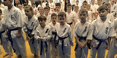 Sukcesy karateków z Tarnobrzega i Nowej Dęby-222332