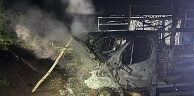 Spłonęły trzy dostawcze mercedesy. Policja bada okoliczności nocnego pożaru [FOTO]-222759