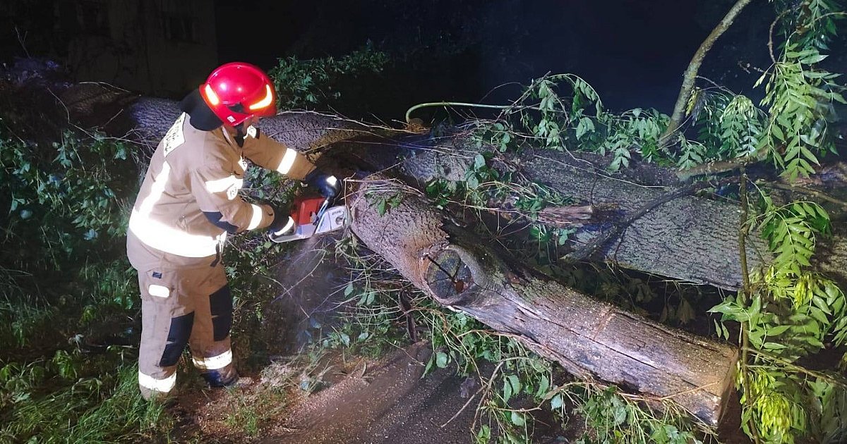 Zerwane dachy i zablokowane drogi. Skutki nocnej nawałnicy  w powiecie sandomierskim
