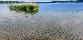 Brak piasku na kąpieliskach nad Jeziorem Tarnobrzeskim 