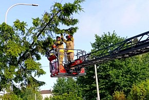 Burze postraszyły, ale oszczędziły Tarnobrzeg-222856