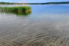 Wypoczywający nad Jeziorem Tarnobrzeskim skarżą się na brak piasku na kąpieliskach-222869
