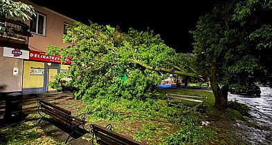 Burza szalała nad Staszowem. Strażacy usuwali połamane drzewa i pompowali wodę FOT-222855