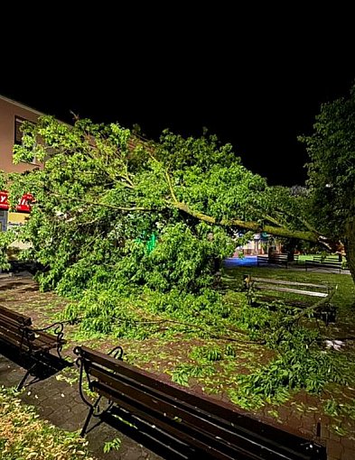 Burza szalała nad Staszowem. Strażacy usuwali połamane drzewa i pompowali wodę FOT-222855