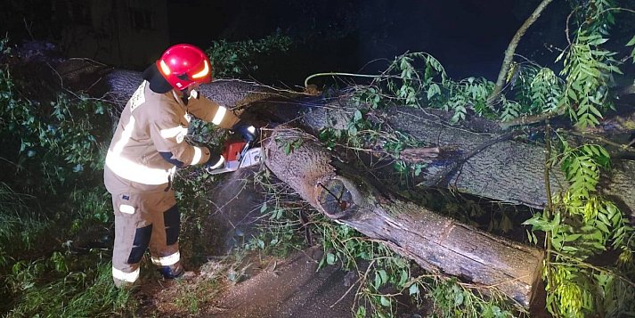 Zerwane dachy i zablokowane drogi. Skutki nocnej nawałnicy  w powiecie sandomierskim