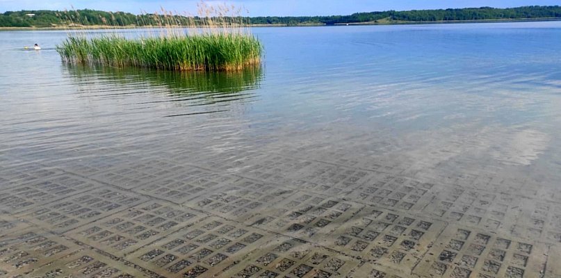 Wypoczywający nad Jeziorem Tarnobrzeskim skarżą się na brak piasku na kąpieliskach - 222869