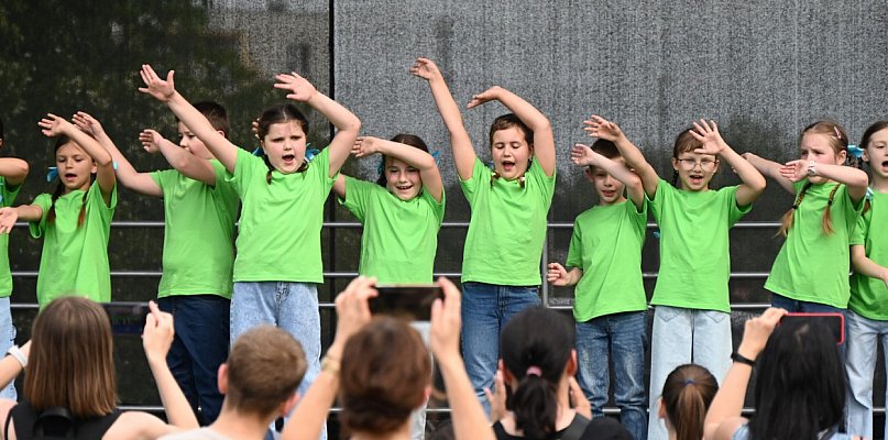 Piknik Rodzinny z misją. Tarnobrzeska "Dziesiątka" zbierała na... [ZDJĘCIA] - 222895