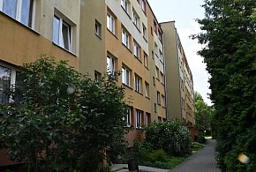 Syn umarł, matka... skonała z głodu [Czytaj w gazecie]-222987