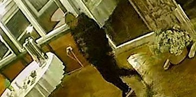 Policjanci spartaczyli interwencję? [Czytaj w gazecie]-222986